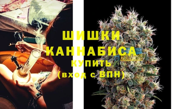Альфа ПВП Бородино