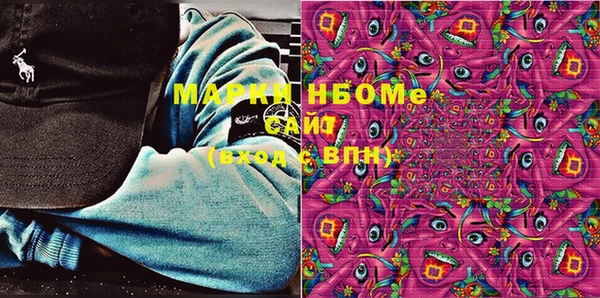прущие грибы Белокуриха