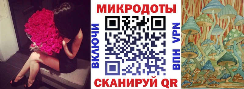 блэк спрут tor  Балтийск  Псилоцибиновые грибы Psilocybine cubensis 