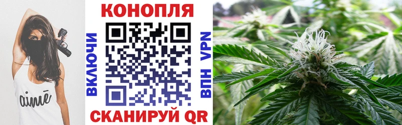 закладка  Балтийск  Канабис ГИДРОПОН 